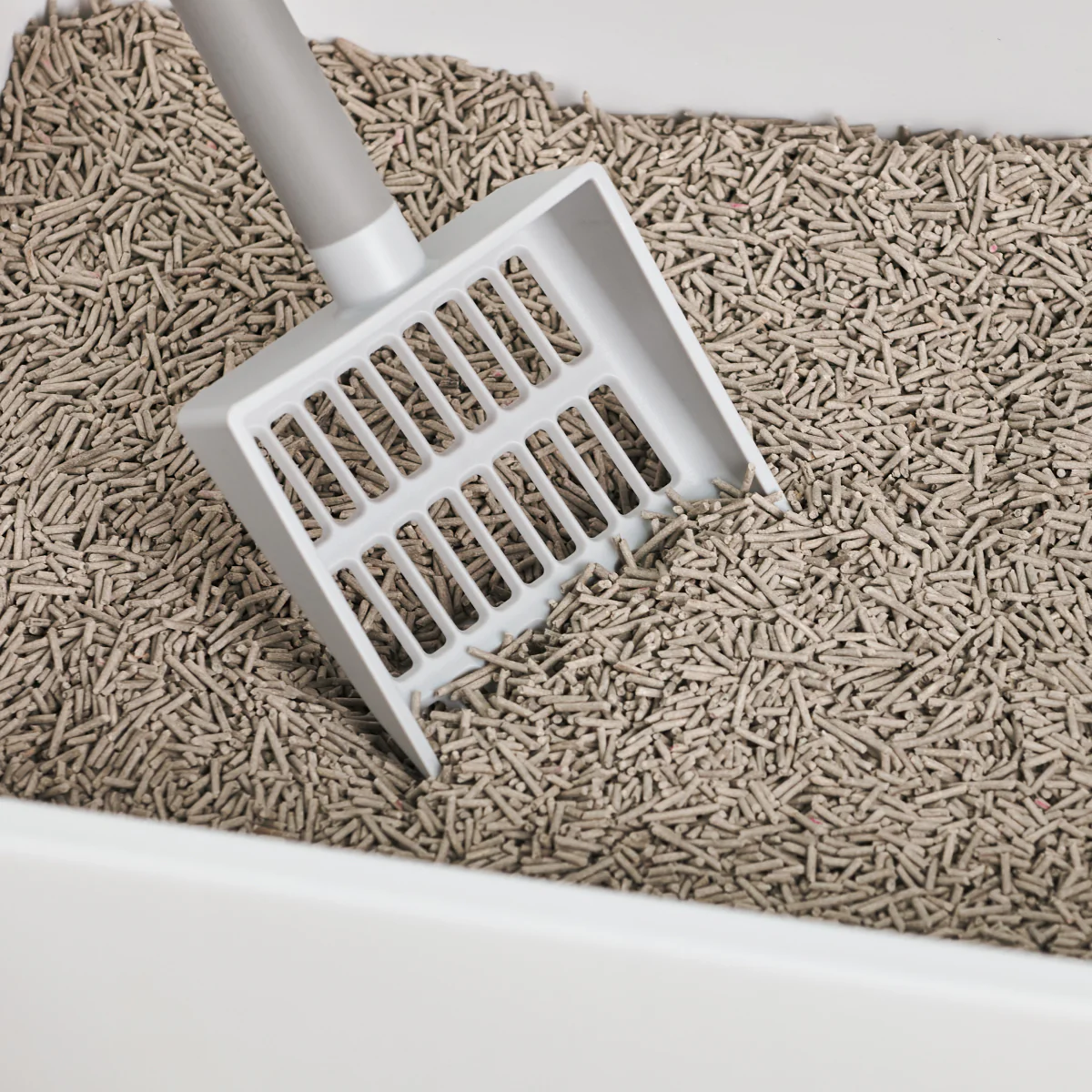 Litter Box Scoop