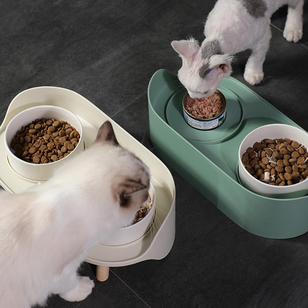 H1c0bd73d1e4349459c23a050b267b4bbD.jpg DUAL ELEVATED FEEDING BOWL - Image 1